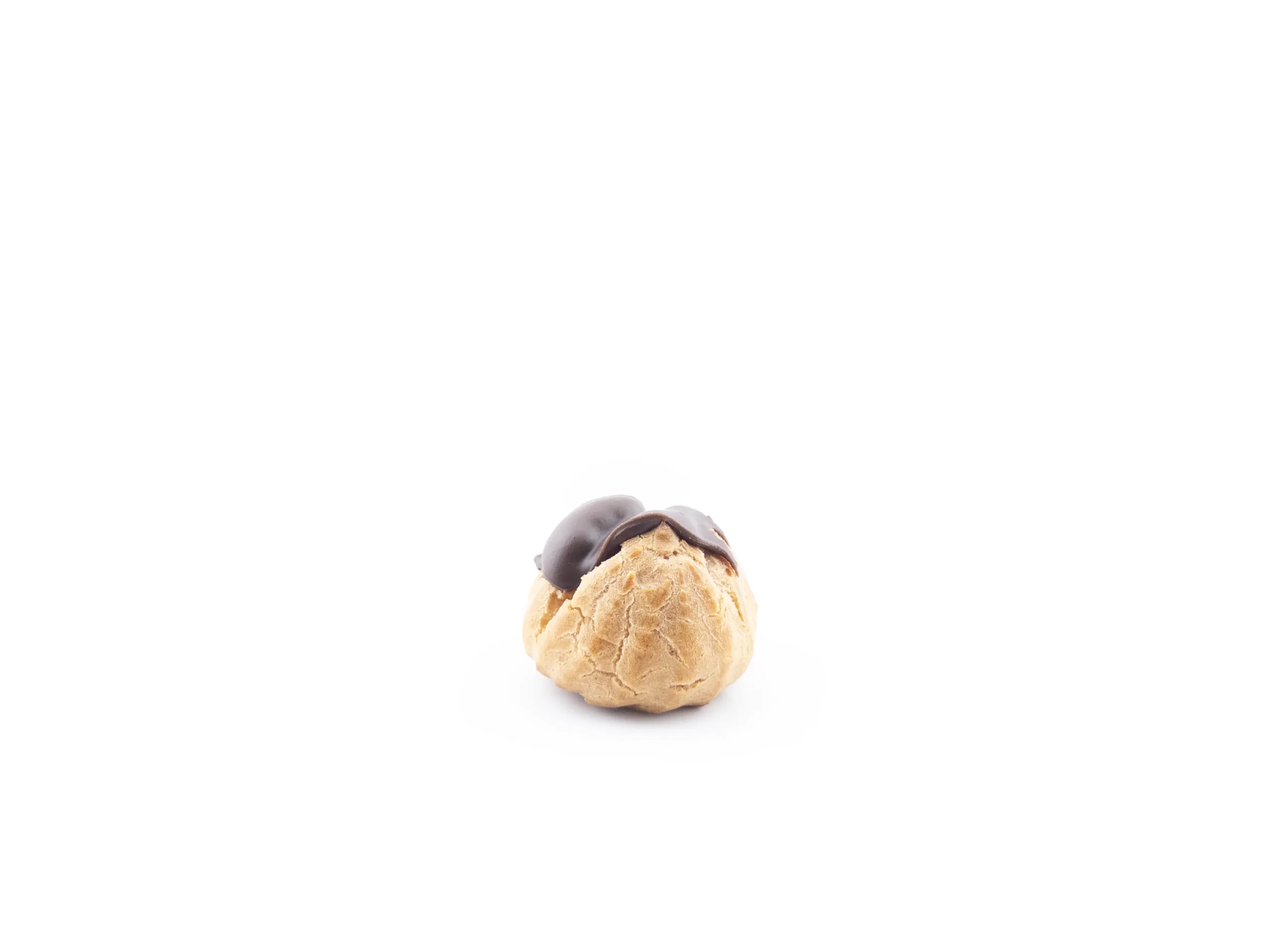 Petit Chou Chocolat